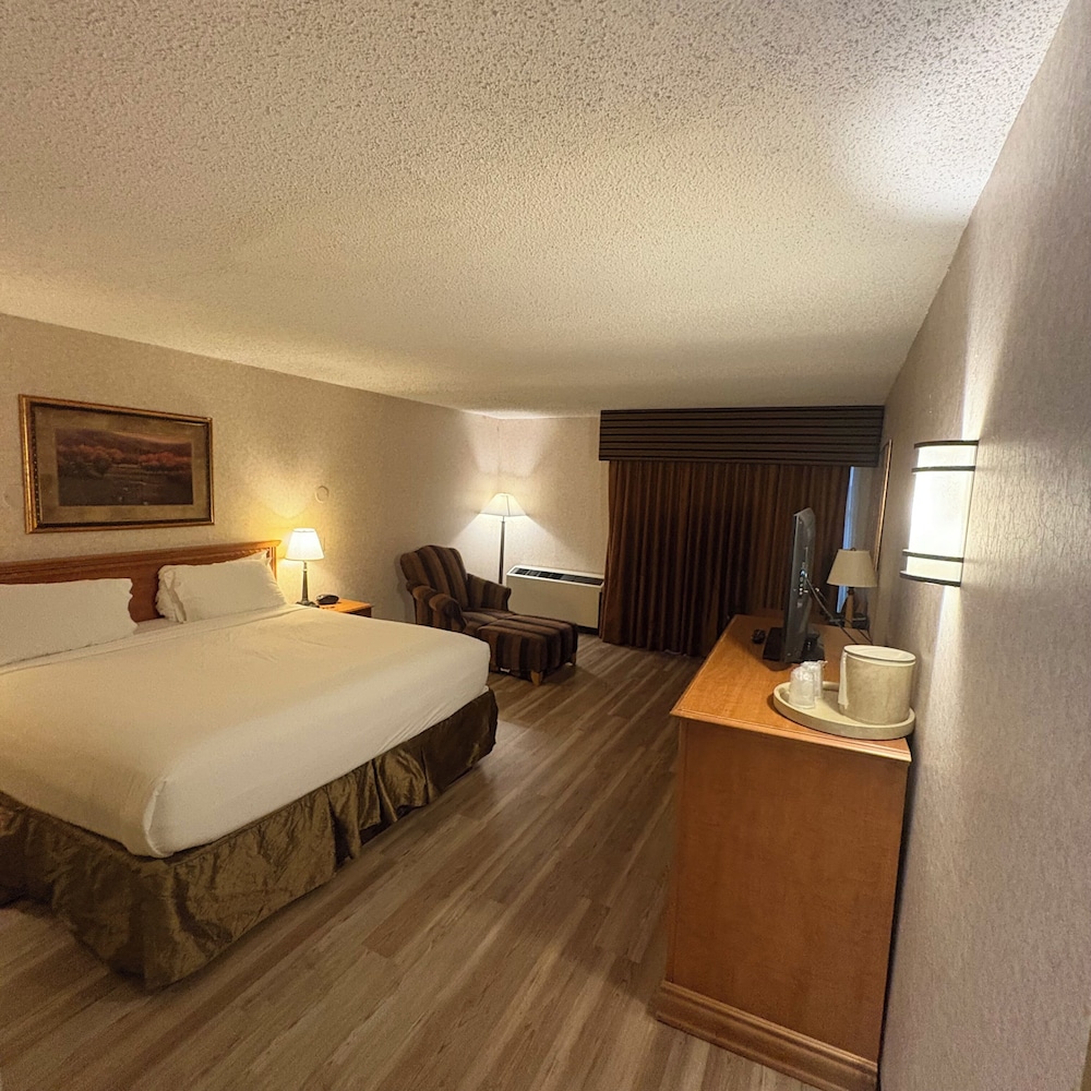 Bismarck Hotel and Conference Center - photo 15