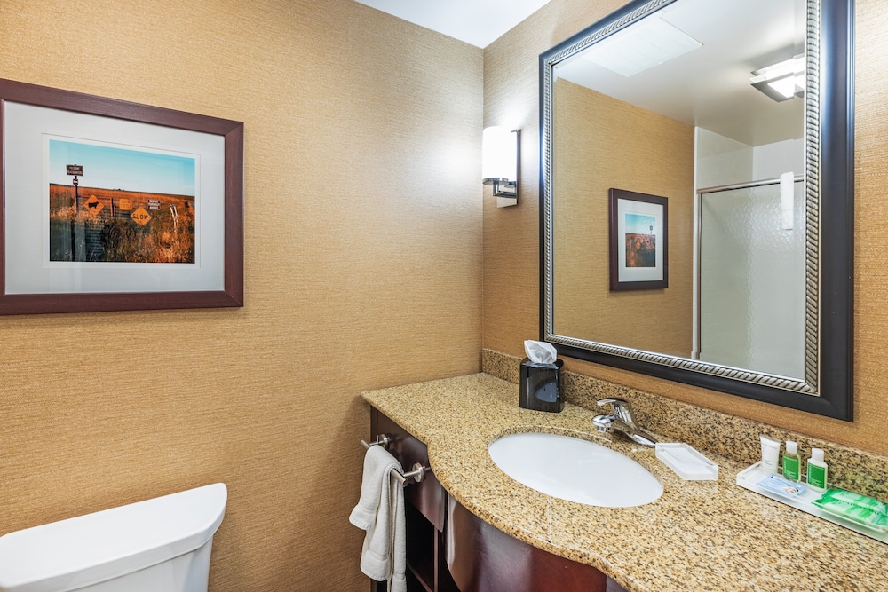 Holiday Inn Ardmore I 35 by IHG - photo 10