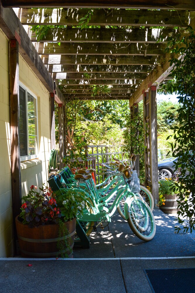 Fern Grove Cottages - photo 65