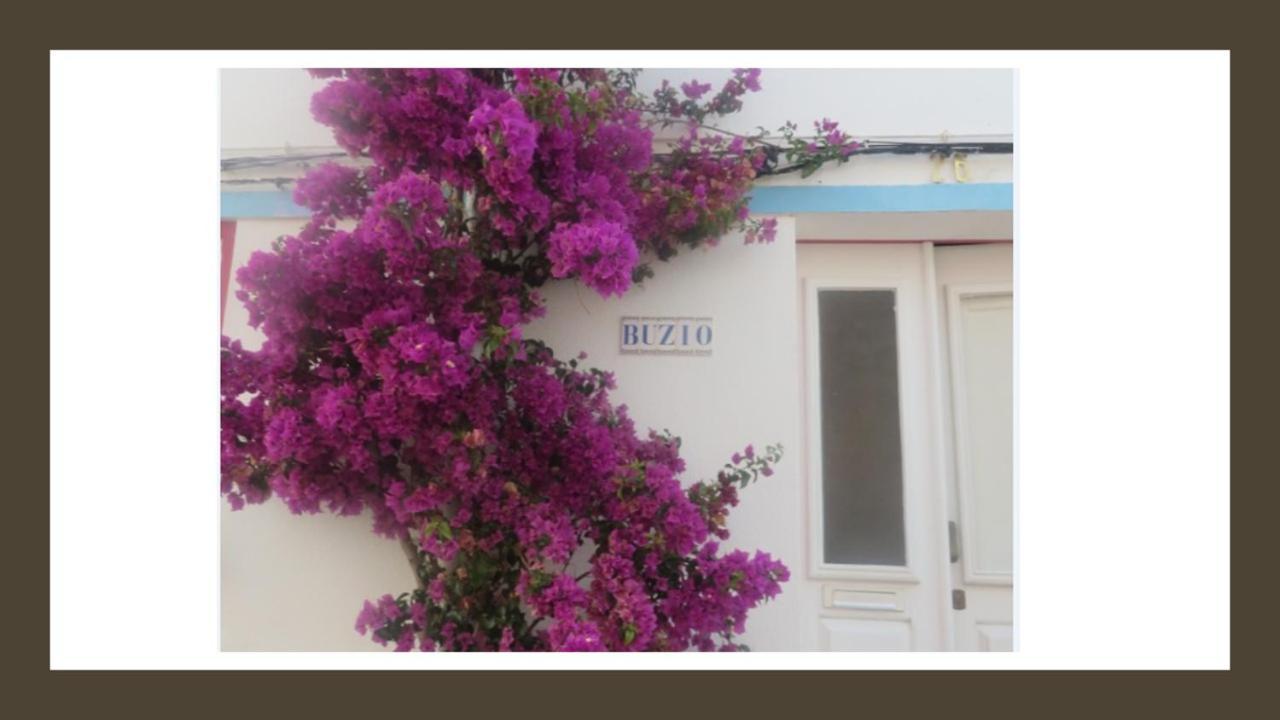 Buzio in Vila Do Bispo, Portugal