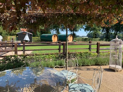 #Glamping@De Verloren Sinjoor — Bladel — photo 5