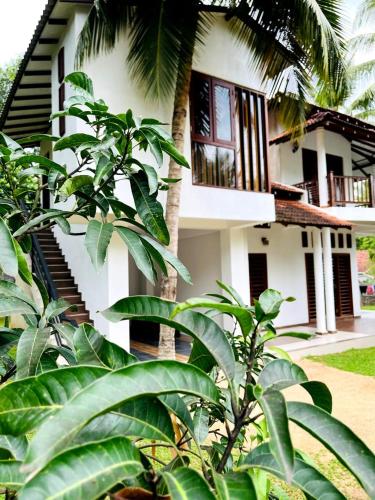 Value Max Resort Udawalawe - last minute hotel in Unknown City