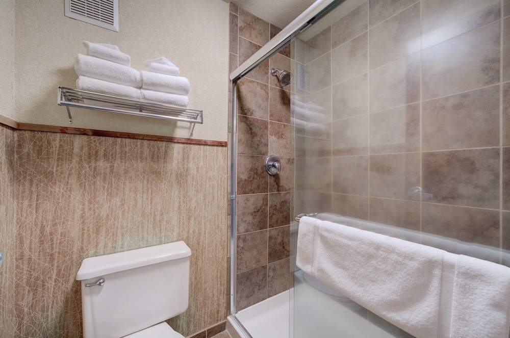 Holiday Inn West Yellowstone by IHG. - photo 100