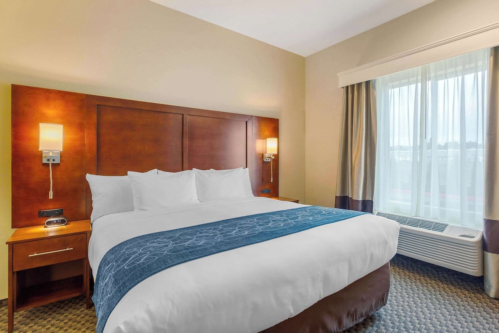 Comfort Suites Burlington near I 5 - photo 9