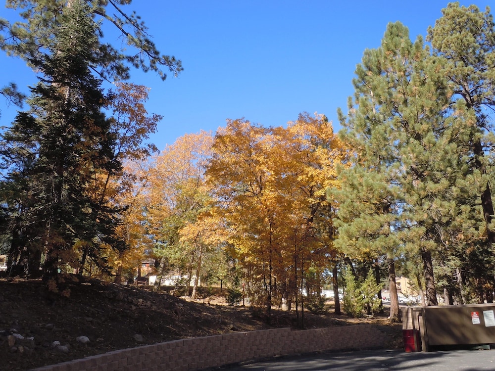 Escape For All Seasons - photo 448