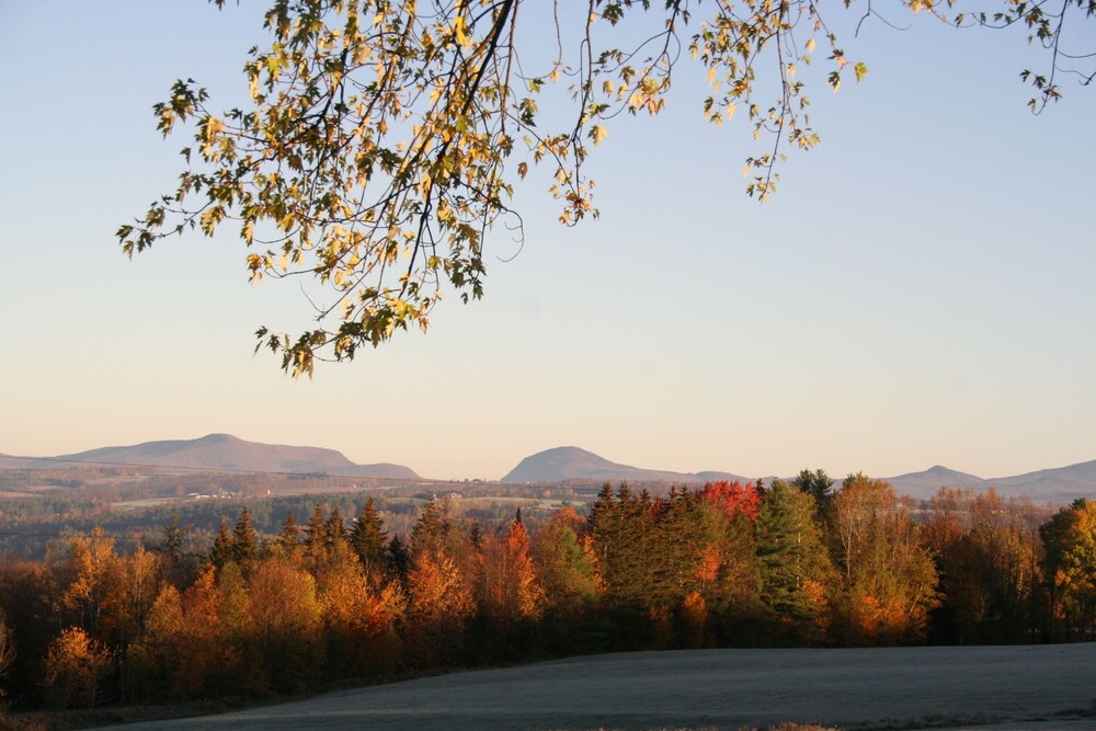The Wildflower Inn - photo 17