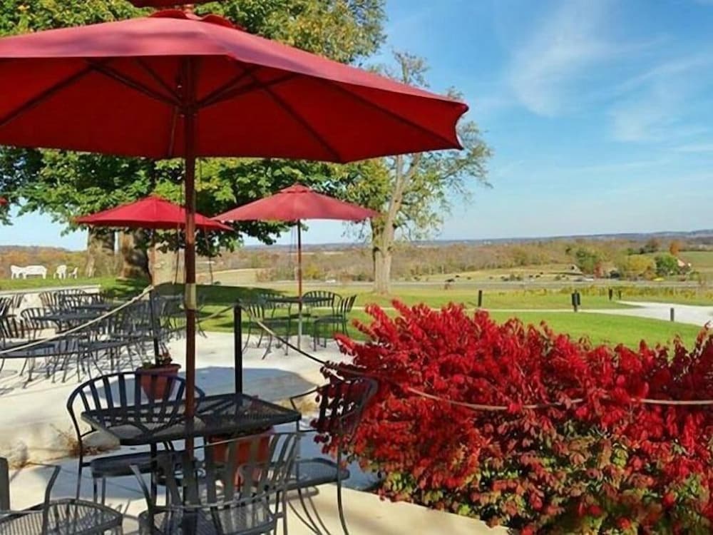 Inn at Springfield Manor - photo 24