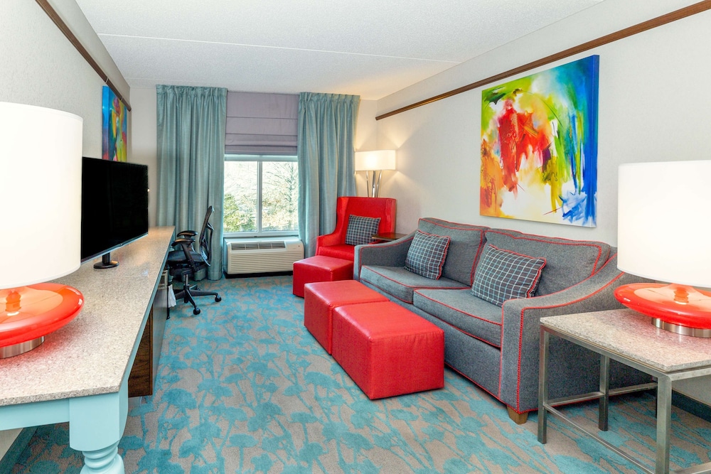 Hilton Garden Inn Asheville Downtown - photo 7