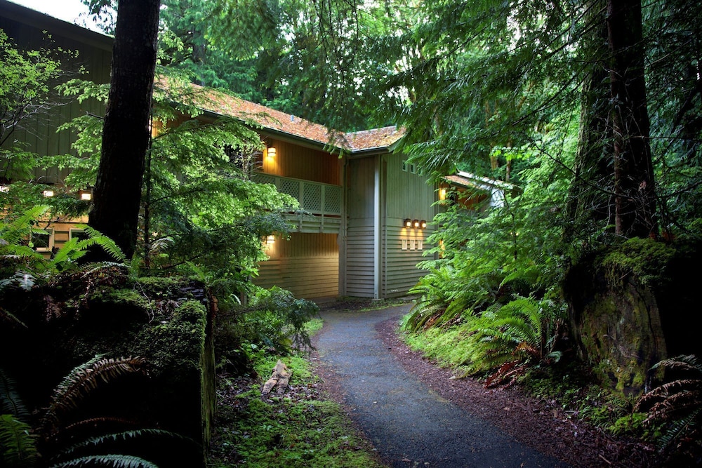 Lake Crescent Lodge - photo 5