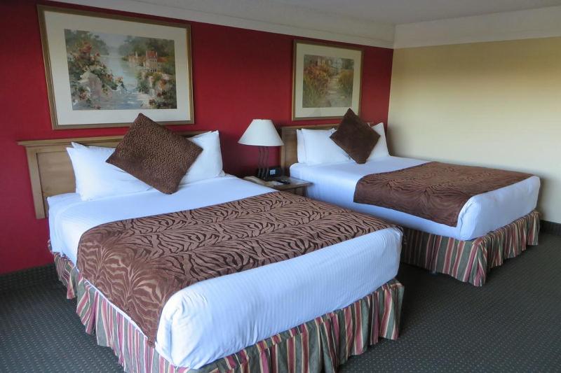 Atrium Hotel at Orange County Airport - photo 15