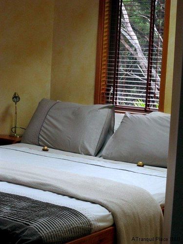 A Tranquil Place in Unknown City, New Zealand