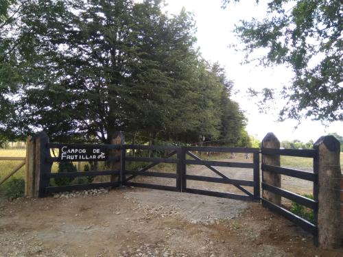 Campos de Frutillar — Unknown City — photo 5