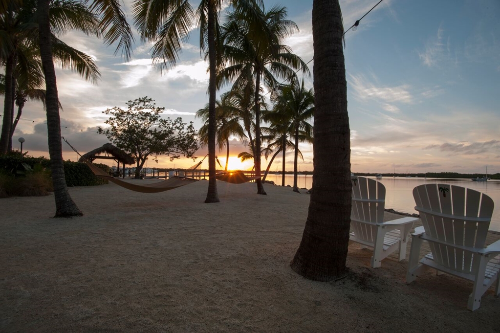 Coconut Palm Inn - photo 32