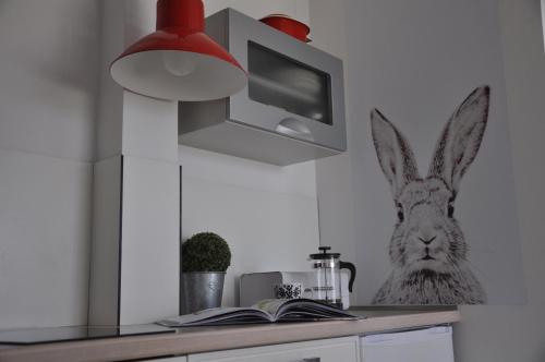 Apartament w kratkę — Wierzchucino — photo 4