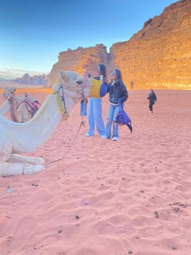 Green Desert in Wadi Rum, Jordan