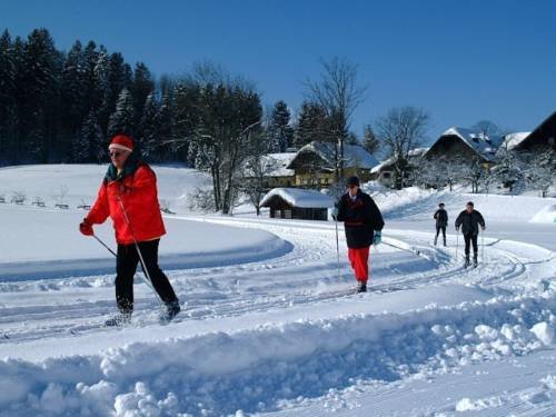 Appartement Schmiedbauernhof — 4-Star Luxury Hotel in Maria Alm Am Steinernen Meer, Austria