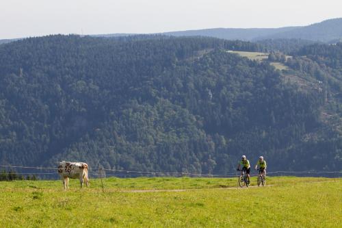 IB Skiinternat Furtwangen — Furtwangen — photo 2