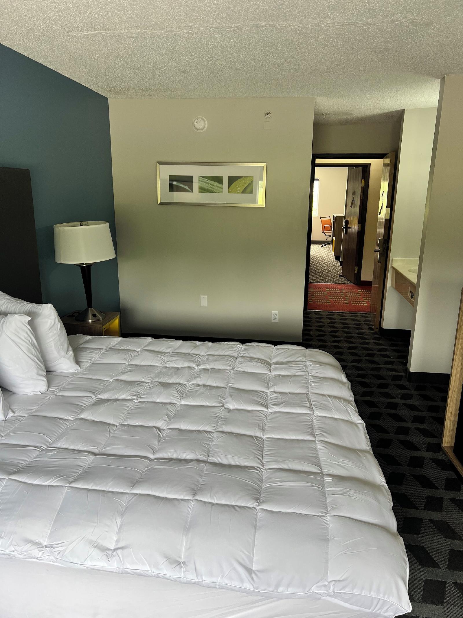 Baymont by Wyndham Dowagiac - photo 7