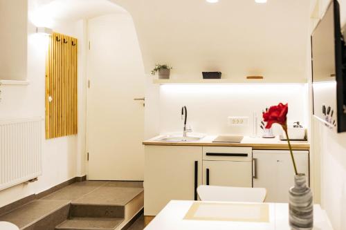 Vila Jakopič apartments — 4-Star Luxury Hotel in Ljubljana, Slovenia