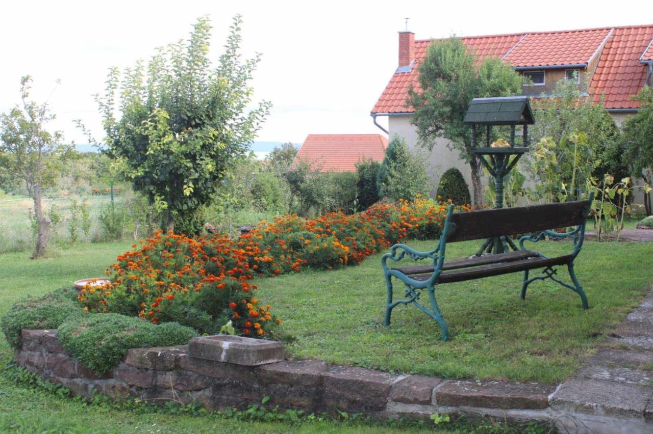 Golden Rose Apartman in Zanka, Hungary