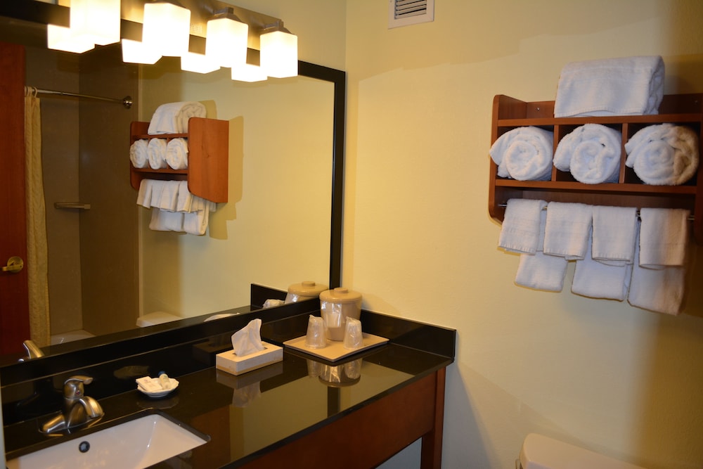 University Hotel & Suites Shippensburg Trademark by Wyndham - photo 28