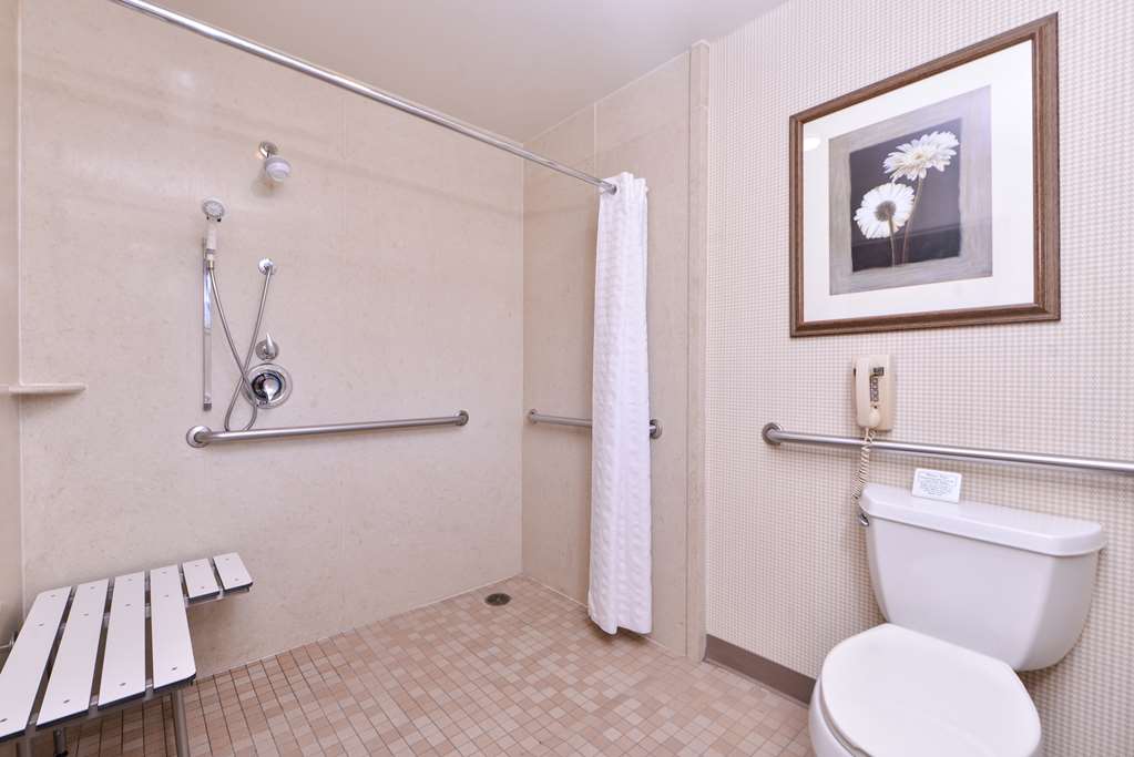 Best Western Corte Madera Inn - photo 47