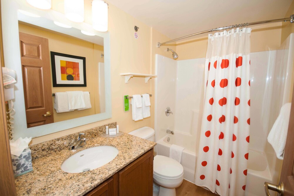 TownePlace Suites by Marriott Gahanna - photo 4