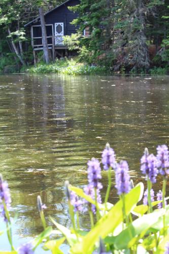 Robinson's Cottages - photo 40