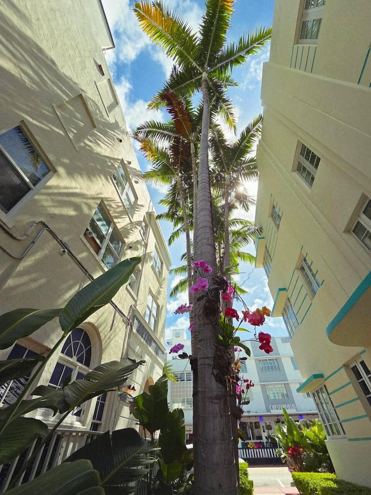 Luxuri Suites - photo 116