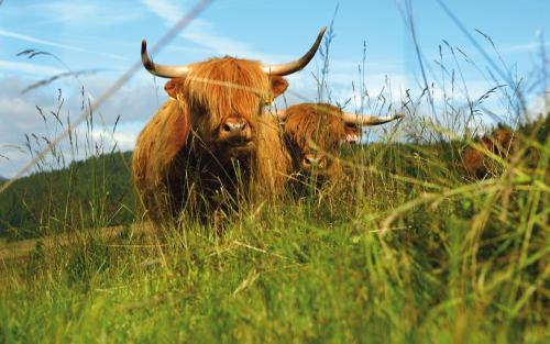 Bouda Klínovka in Spindleruv Mlyn, Czech Republic