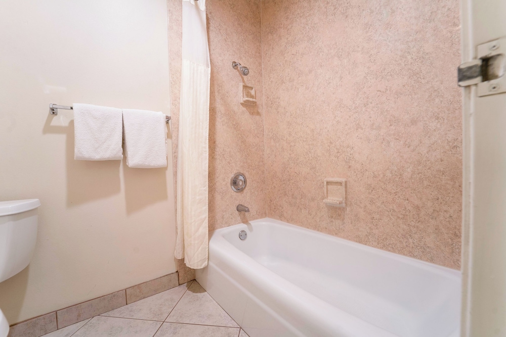 Royal Plaza Inn Indio - photo 74