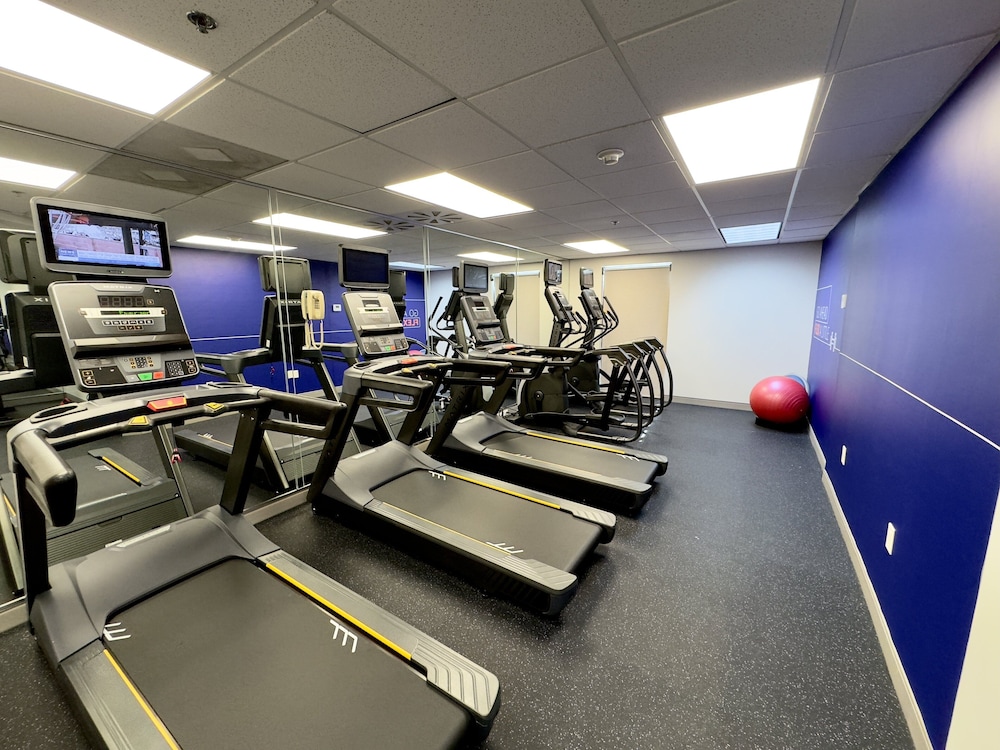 Holiday Inn Express Hotel & Suites Tampa Northwest Oldsmar by IHG - photo 32