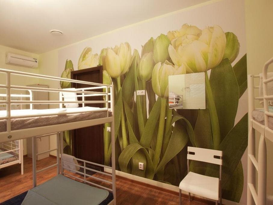 Vhostele - carbon neutral hotel in Kazan