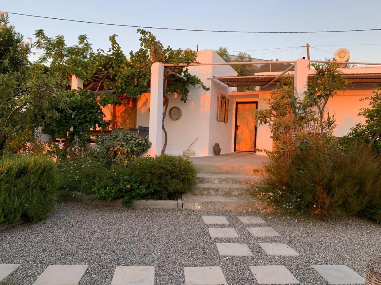 Ktima Natura — Archangelos — photo 4