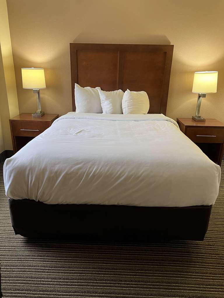 Country Inn & Suites By Radisson Battle Creek MI - photo 21
