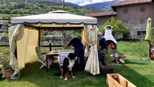 Appartamento Signorile Con Giardino — hotel in Pila