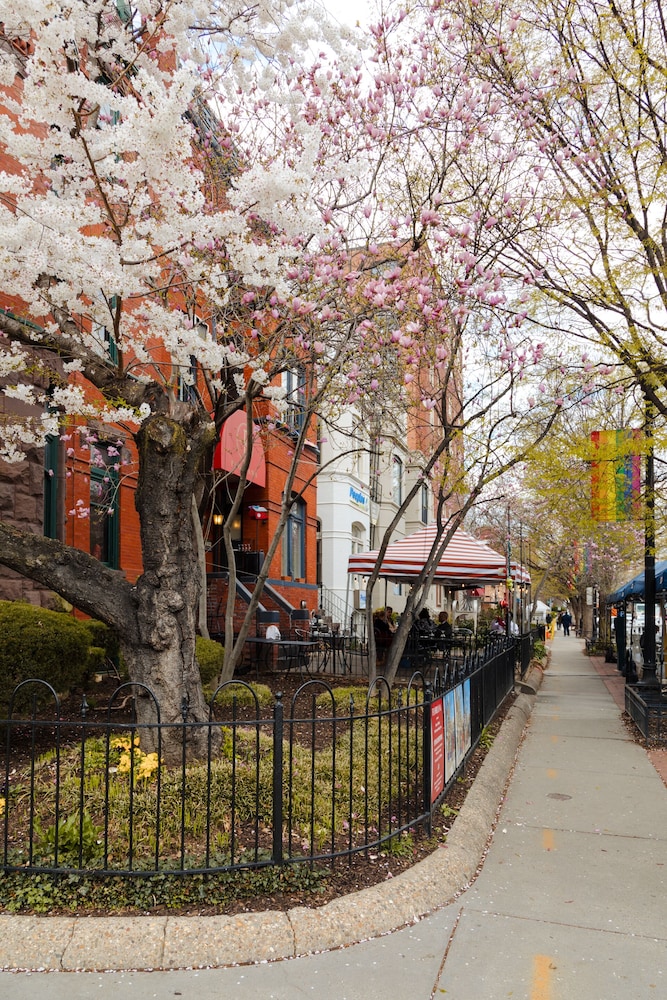 Found Dupont Circle - photo 16
