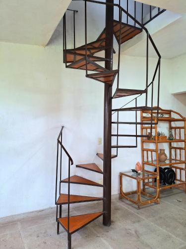 Tonantzincalli SPA Prehispanico — Chiconcuac — photo 3