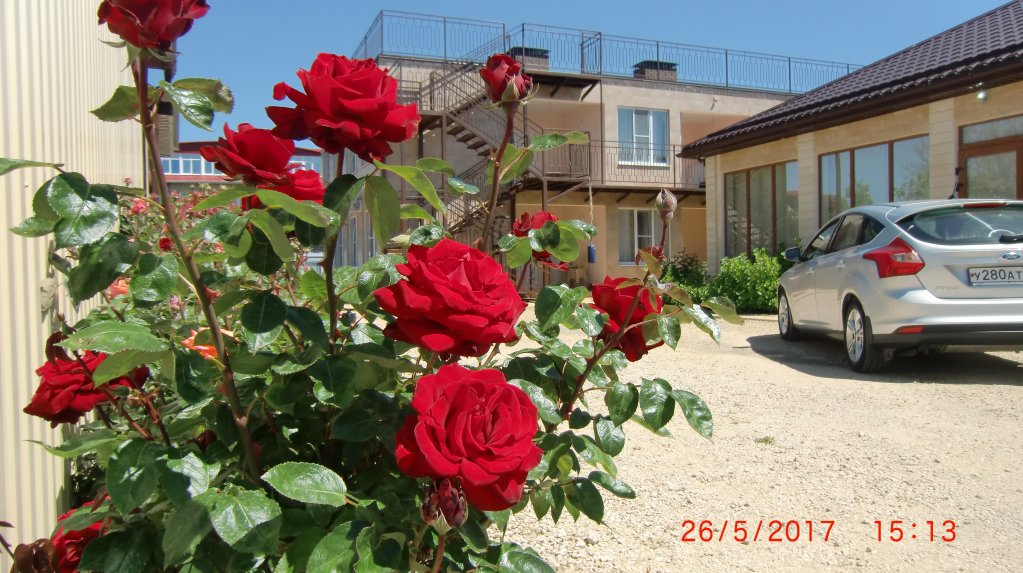 Yakor Mini hotel — Anapa — photo 2