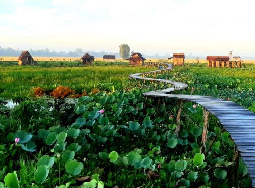 Viet Mekong Farmstay — Tram Chim