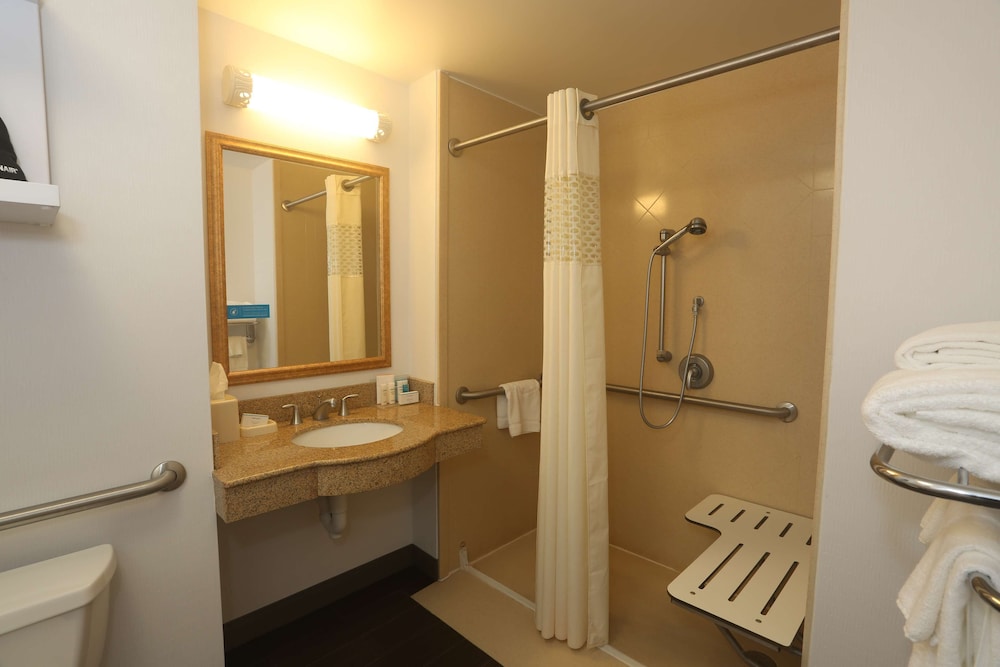 Hampton Inn Owego - photo 19