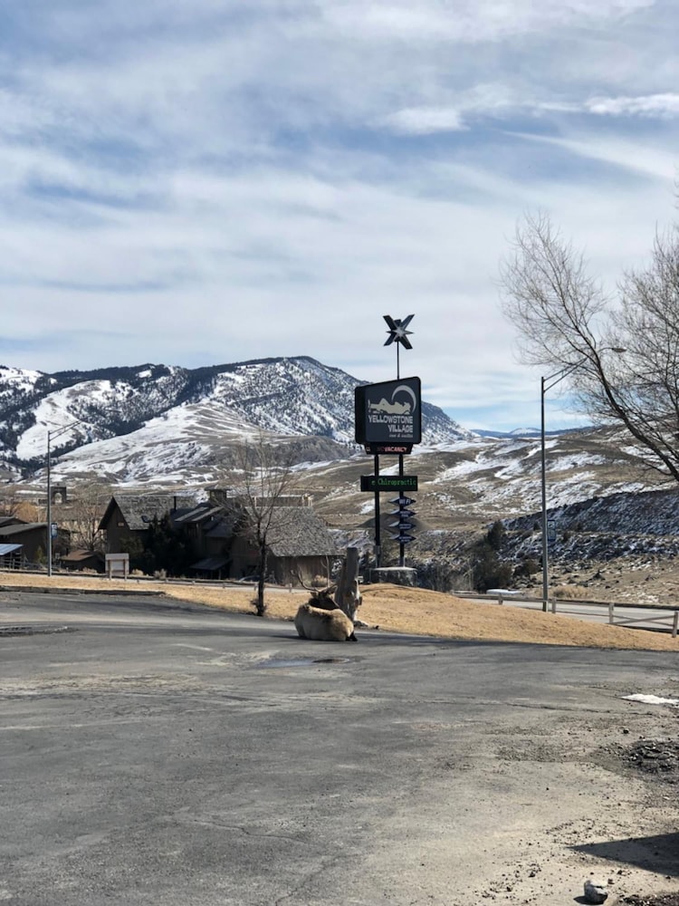 Yellowstone Village Inn and Suites - photo 25