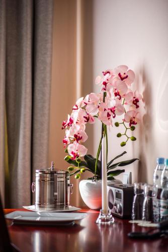 Hotel Polonia — Biala Podlaska — photo 5