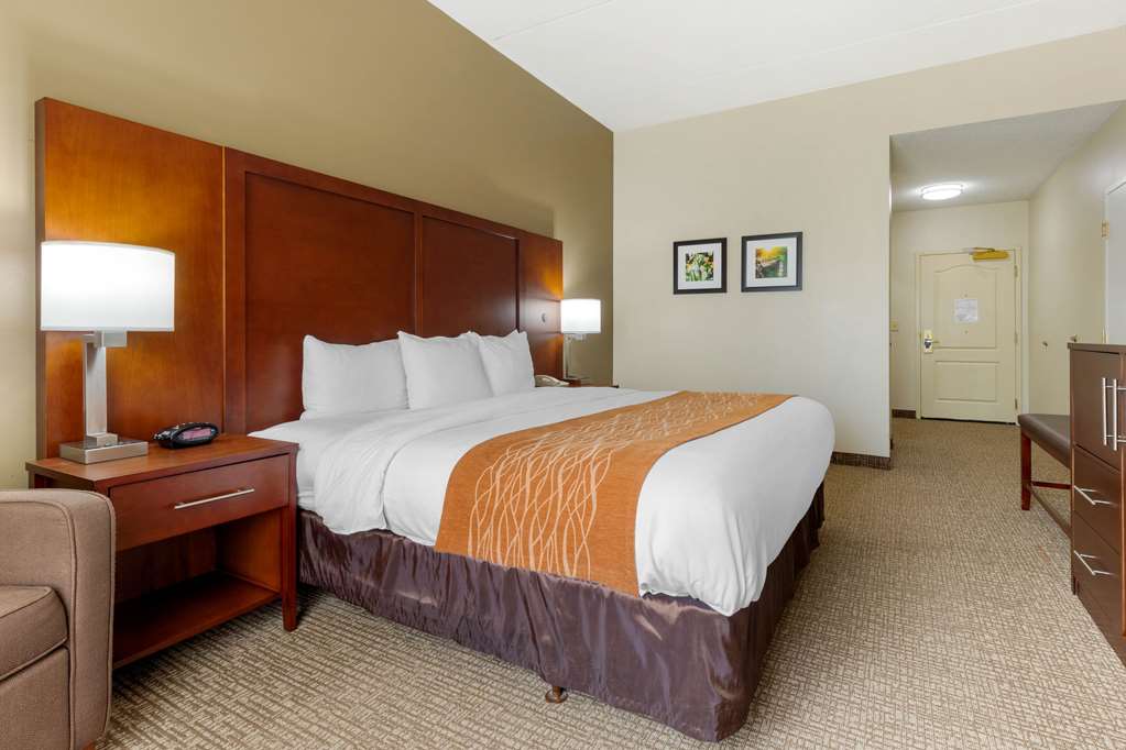 Comfort Inn & Suites Cordele - photo 8