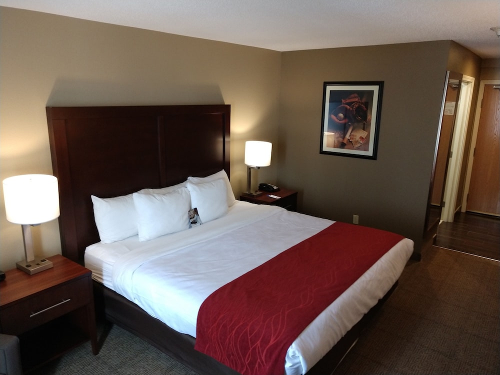 City Express by Marriott Milford Cooperstown - photo 14