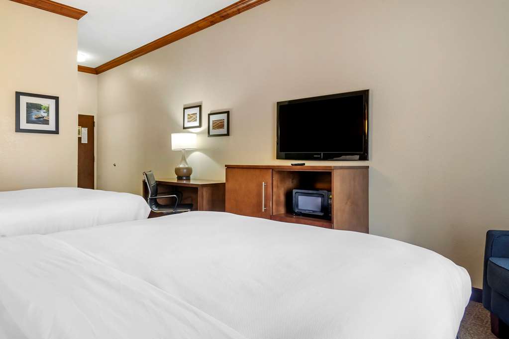 Comfort Inn & Suites Statesboro University Area - photo 10