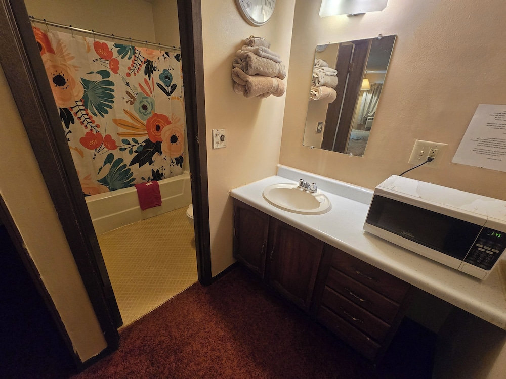Oyo Sandman Inn - photo 64