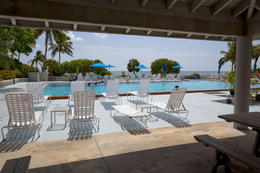 1800 Atlantic Suites - photo 33