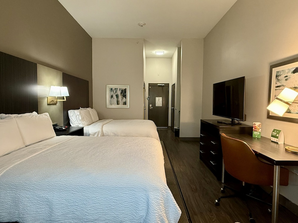 Holiday Inn Carlsbad by IHG - photo 14