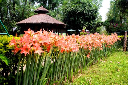 Shuklaphanta Jungle Cottage 18121961 — Mahendranagar